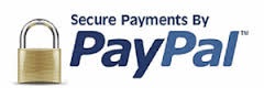 paypal-101